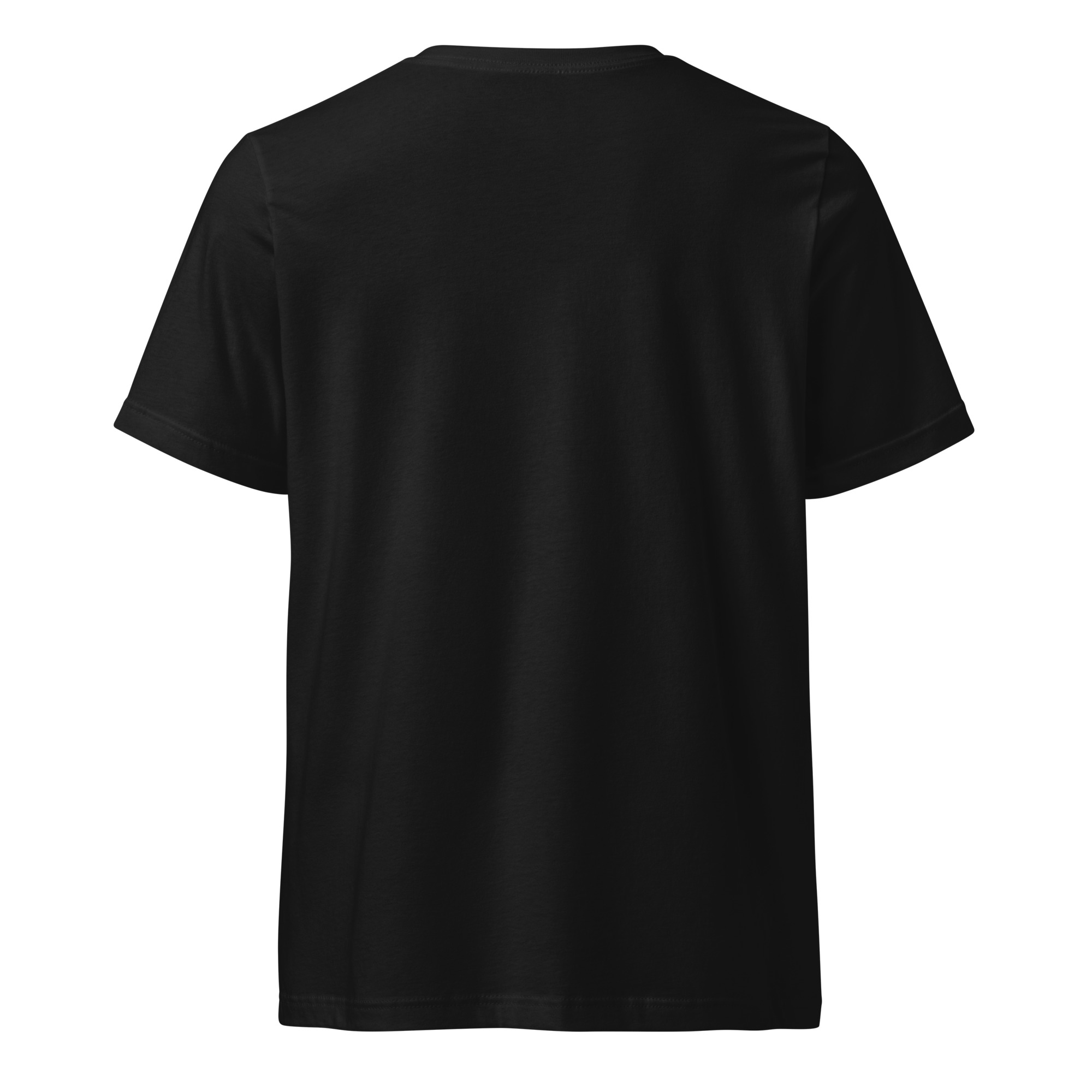 unisex-v-neck-tee-black-back-689221c7f1b5e.jpg